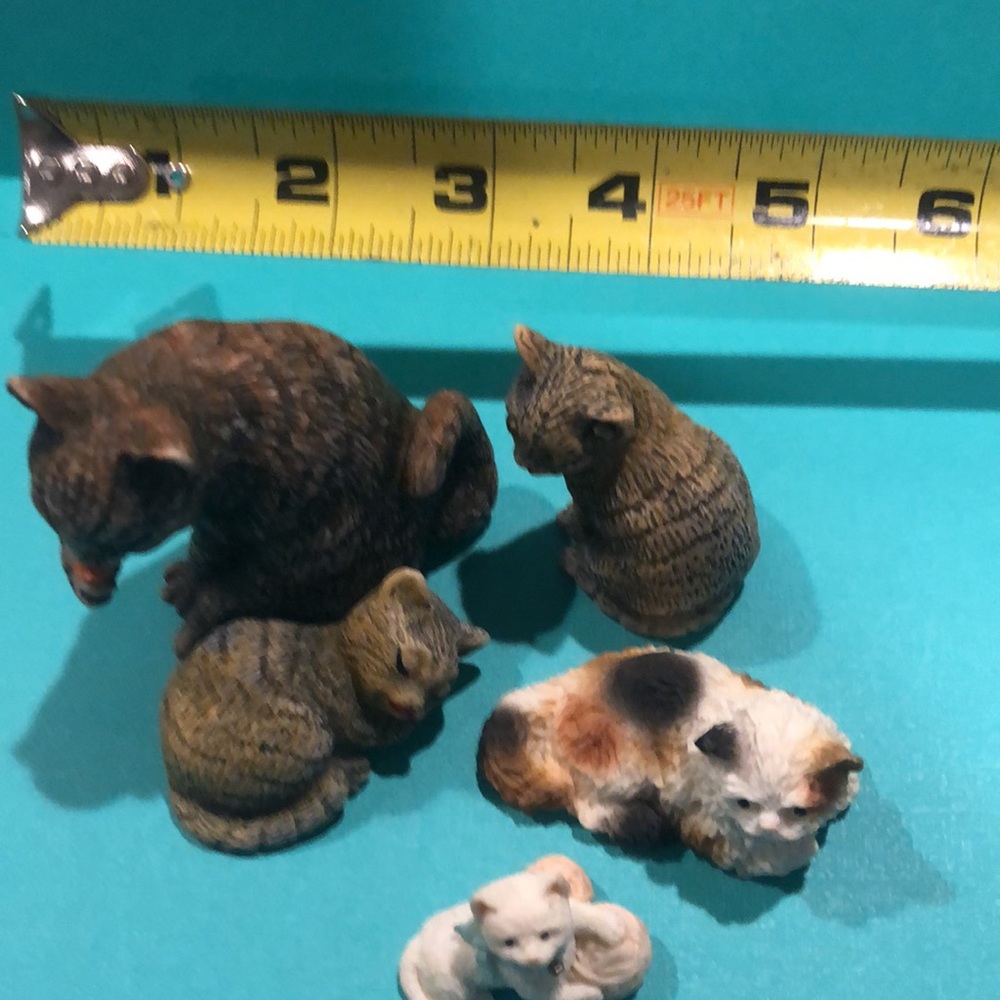 5pc cat collection - Picture 7 of 7